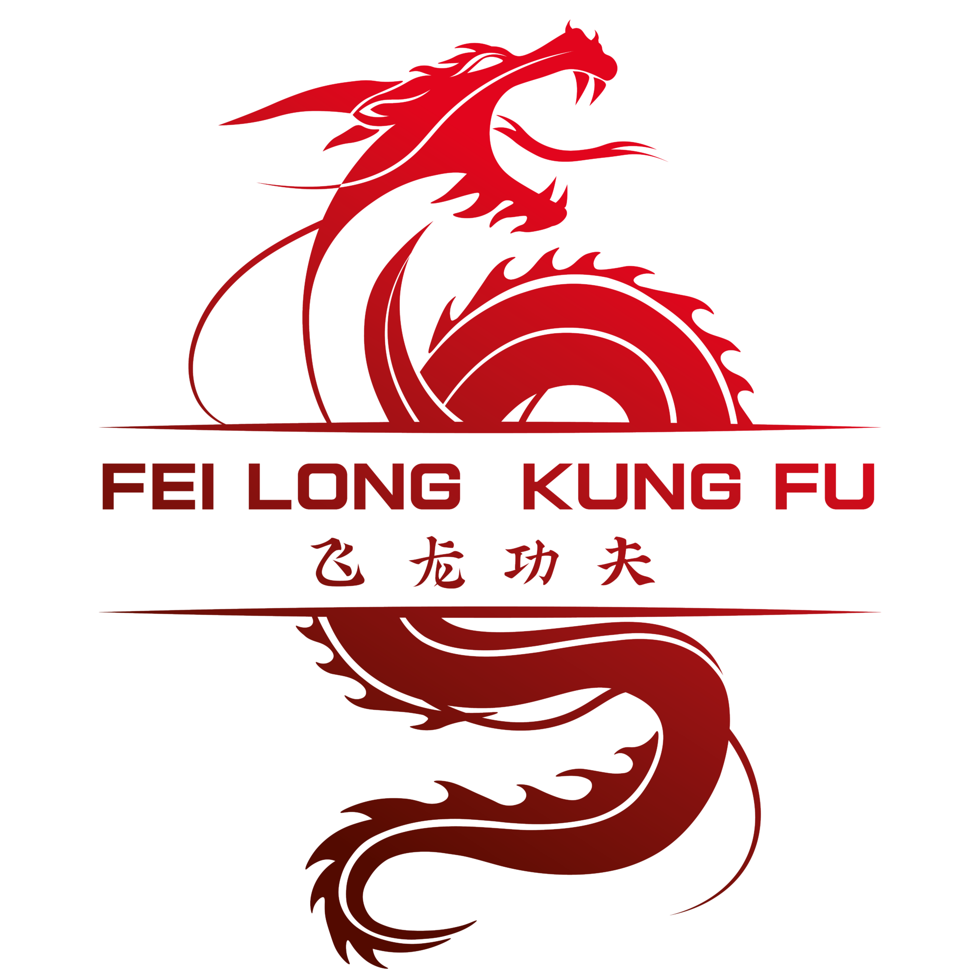 Fei Long Kung Fu e.V.